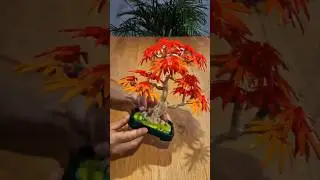 LEGO Botanicals #10348 | Japanischer Roter Ahorn - Bonsai | Speed Build
