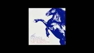 The Sounds - The Only One's