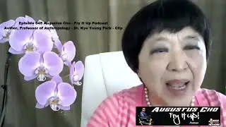 Episode 045 Augustus Cho - Fry It Up Podcast - Author - Dr. Kye Young Park - Clip