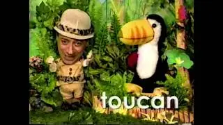 Wordville: toucan (HQ, RARE)