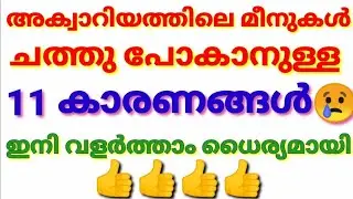 Aquarium fish Dieing reason in malayalam?/Aquarium fish death reason in malayalam/gold fish died?
