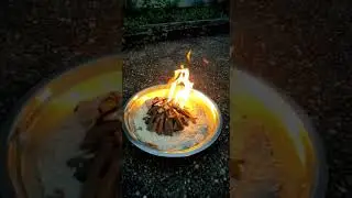 BONE FIRE