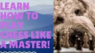 Learn How To Play Chess Like A Master! The Pawn Center 4 - Must Watch!