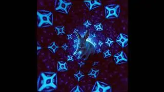 &ldquo;Endless Rabbit Holes&rdquo;jhdd
