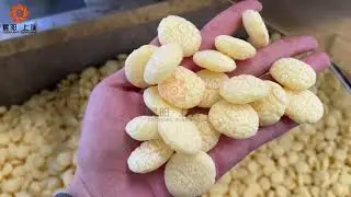 Screw Extrusion Food Extruder Manufacturer Puffs Snack Food Maker Production Plant Machine Testing