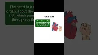Human Heart Made Easy | Class 10 Science Biology (Part 1)#biology #class10 #cbseclass10