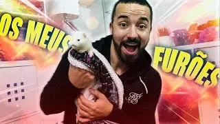 OS MEUS FURÕES ! (SUPER FOFOS)