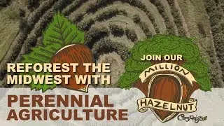 Reforest the Midwest with Perennial Agriculture - Support the Million Hazelnut Campaign