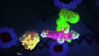 Lysyl-tRNA Synthetase Ap4A Pathway