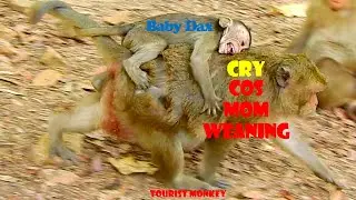 Oh Million pity to see baby cry loudly, Dax cry so loud cos hungry, Why mom stop feed,