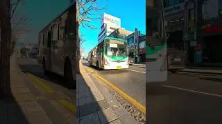 The Bus Transportation Korea Pyeongtaek City #shorts #transportation