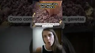 EP 4 - Parte 2: Composteira de gavetas com minhocas