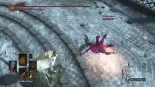 Dark Souls 3 Power of Hollow Washing Pole +10 with Carthus Rouge