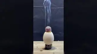 1000&deg;C RHCB vs Egg 🤯😱 #satisfying #asmrsounds #experiment #science #rhcb #selfexperinments