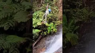 #shorts #youtube #zipline #waterfall #nature #adventure #song #camera #samar #action #subscribe #hot