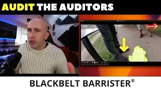 Is the Dog or Auditor to blame?