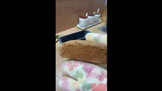 ❤️Хлеб из цельнозерновой муки на твороге#оченьвкусно #рецепты 