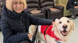 My therapy dog visits the Community Care Center 