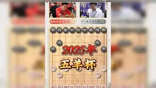 五羊杯曹岩磊大斗散手对决吴金永 鬼魅残功横冲直撞 马后炮 一招毙命