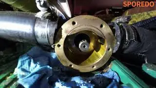 Technik: Impeller-Austausch f&uuml;r Charter-Skipper