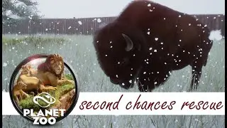 Planet Zoo - Second Chances Rescue - Not-So-Gentle Giants