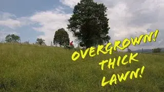 Mowing Overgrown Thick Lawn (Tall Grass! Hard Job!)
