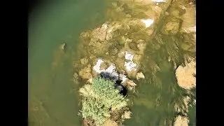 The Lower Orange River, South Africa