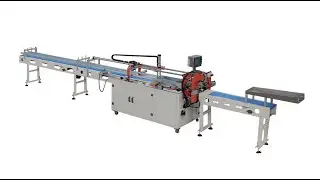 Semi automatic 10 rolls toilet paper bundle wrapping machinery