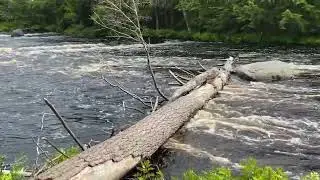 14 Km Yukme'k Trail - Mersey River
