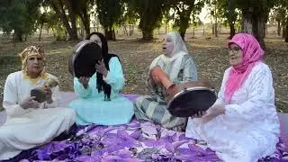 وا لوليد لحديد جديد راك خرجتيه 💃💃#chaabi #الشعبي_المغربي #الشعبي #chabi