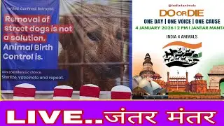 jantar mantar live India 4 animals #live #animalsprotest #delhinews #animalsrights #savedog