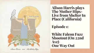 Alison Harris Plays The Mother Hips LIVE- White Falcon Fuzz, Shootout, One Way Out