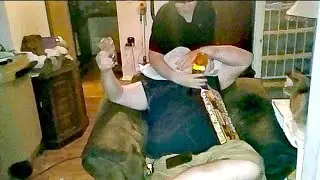 ЗВОНОЧНЫЙ РОЗЫГРЫШ УИЛЬЯМА - ЭТО БЕЗУМИЕ!!!