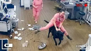 Caught in 4K! Funniest Security Camera Fails