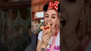 Todo lo que comemos en walt disney studios 😍🩷