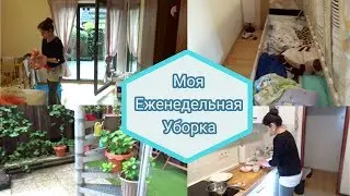 Мотивация на Уборку /Ужас под кроватью / Уборка в саду/  Убирайся со мной
