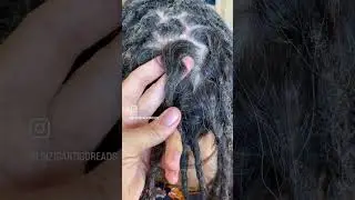 Dreadlocks Pflege Ansatzpflege