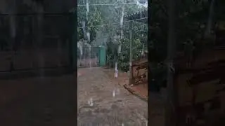 Heavy brishti 🌧 🌦  #jhargram #jhargramdiaries #westbengal #shortvideo #shorts