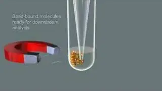 Magnetic Separation