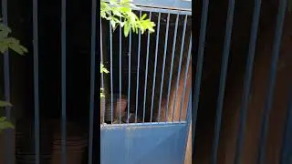 Rogner Hotel large bunker part 1