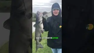Winter Catfishing TIPS From The Bank! 🎣 #shorts #fishing