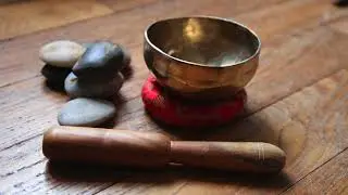 Sharon Klingler | Meditation | Planting The Seeds Of Your Dreams