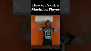 How to Prank a Marimba Player!