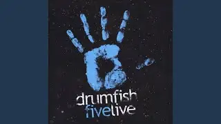 Black Forest Moon (Live)