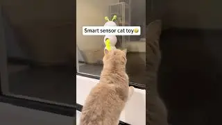 Smart sensor cat toy #bestpetsupplies #petcareprovider #catcare