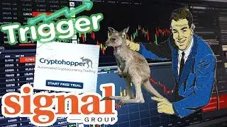 CryptoHopper Triggers Settings & Warning on Signals