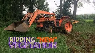 How to Create a Food Plot | Replowing - Wet Ground
