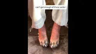 #gift #giftidea #socks #funny