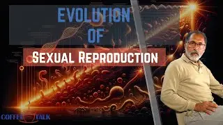 Evolution of Sexual Reproduction