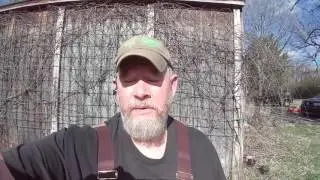 Skunk in coyote, bobcat and fisher lure, little advice